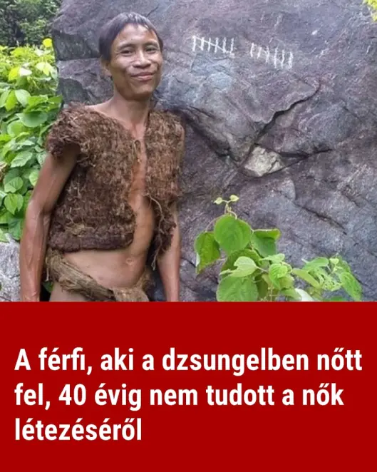 40eviignonelkul844561200 n