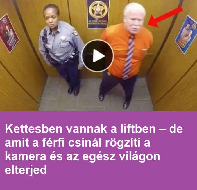 kettenaliftbenx381