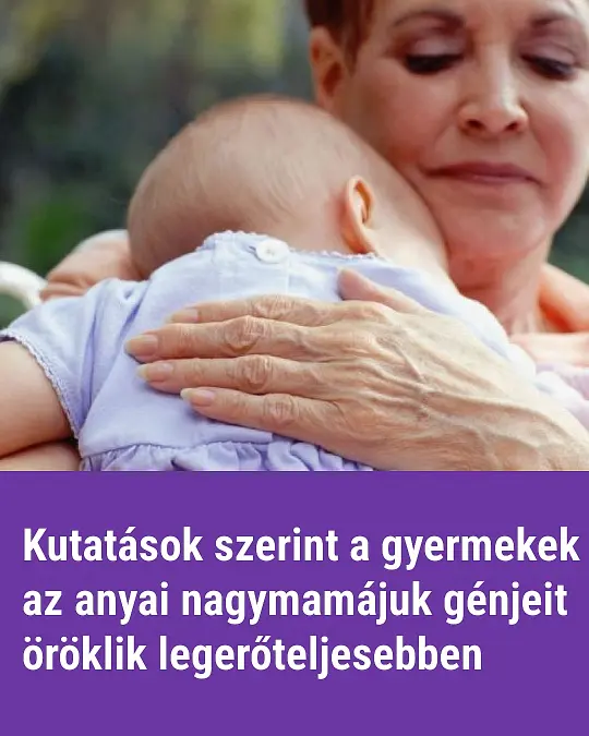 nagymamamgen6 48098046 n