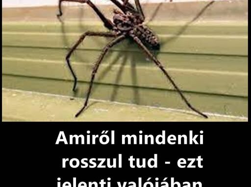 pokazottonodbann 512x381