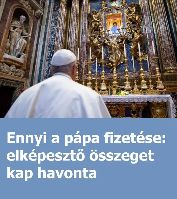 papax381