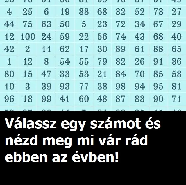 szamok2024 640x381