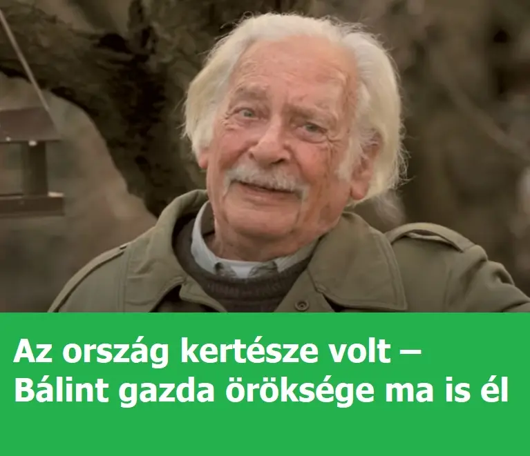 baalinrtgazdaen