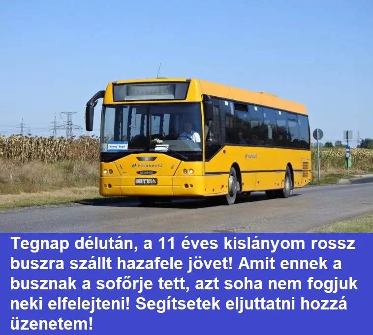 busz sofor889 n