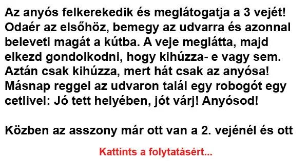 Vicc Az anyos felkerekedik es meglatogatja a 3 vejet jpeg